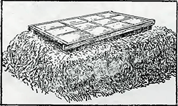 Рисунок 1. Простейшее устройство парника для выращивания рассады