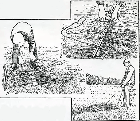 Рисунок 1. Прочёсывание газонов