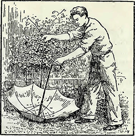 Рисунок 3. Борьба с гусеницами