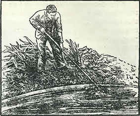 Рисунок 1. Очистка водоёмов от опавшей, отмершей листвы