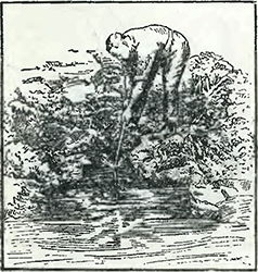 Рисунок 1. Аэрация воды в прудах