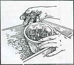 Рисунок 1. Пересадка садовых растений в горшки