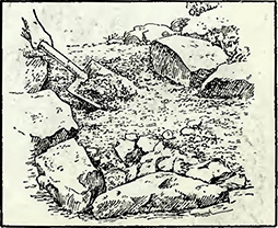 Рисунок 1. Истощение почвы между камнями