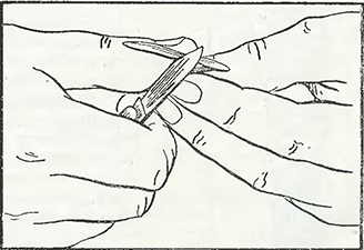 Рисунок 1. Подрезка щитка