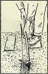 Рисунок 1. Приготовление бороздок для посева семян