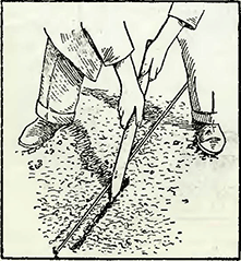 Рисунок 2. Приготовление бороздок для посева семян