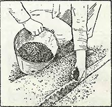 Рисунок 1. Посев семян двухлетних растений