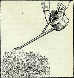Рисунок 1. Высадка рассады грунтовых растений