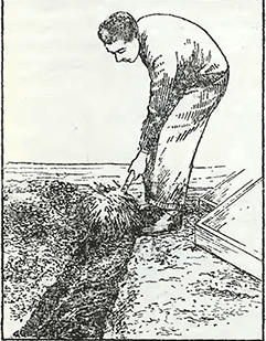 Рисунок 1. Обработка глинистой почвы