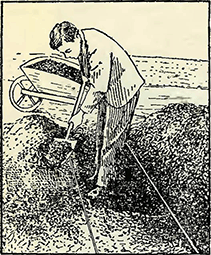 Рисунок 1. Подготовка почвы под душистый горошек