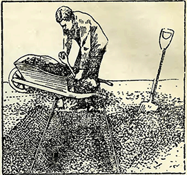 Рисунок 2. Подготовка почвы под душистый горошек