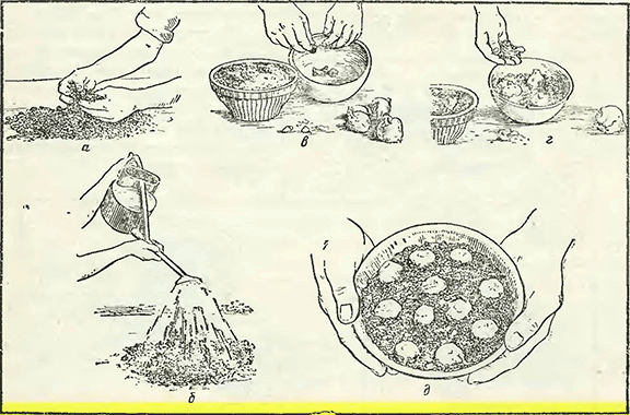 Рисунок 1. Посадка луковиц в вазы