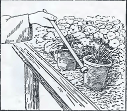 Рисунок 1. Определение потребности горшечных растений в поливе