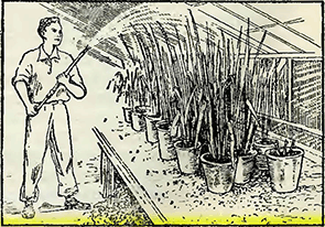 Рисунок 2. Время выемки горшков или ваз из прикомочных лунок