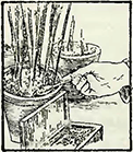 Рисунок 3. Время выемки горшков или ваз из прикомочных лунок
