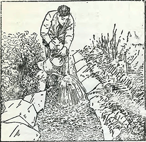 Рисунок 1. Борьба с сорняками на пешеходных дорожках