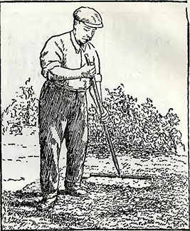 Рисунок 1. Удаление маргариток с газонов