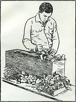 Рисунок 1. Высадка рассады в цветочные ящики