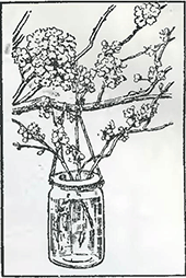 Рисунок 2. Искусственное опыление плодовых деревьев