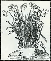 Рисунок 2. Устройство подпор для горшечных цветов