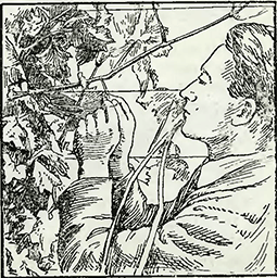 Рисунок 2. Нормировка винограда