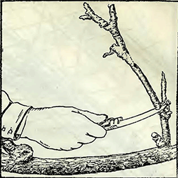 Рисунок 4. Обрезка плодовых деревьев при формовой культуре