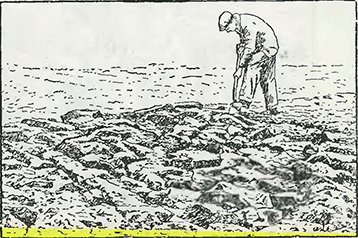Рисунок 1. Улучшение тяжёлых почв