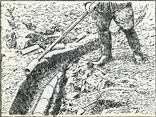 Рисунок 1. Дренаж сырых почв