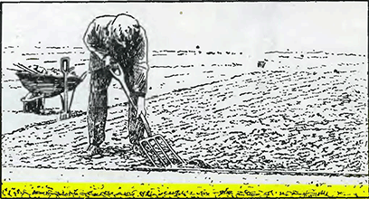Рисунок 1. Заделка извести в почву