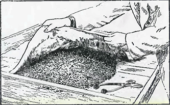 Рисунок 4. Стерилизация почвы