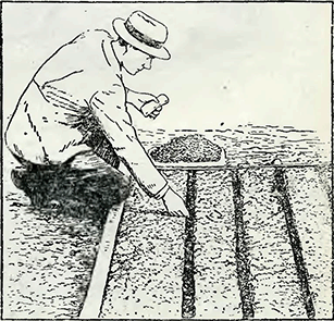 Рисунок 1. Устройство бороздок для посева семян
