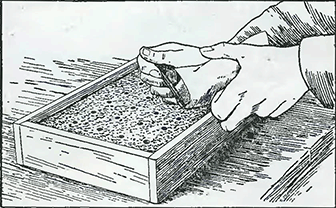 Рисунок 2. Посев овощных семян по маркеру