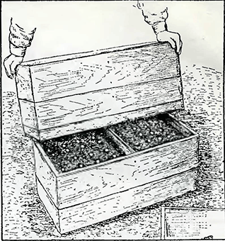Рисунок 1. Выращивание морской капусты в закрытом грунте
