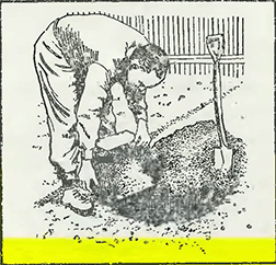 Рисунок 1. Подготовка почвы и гряд