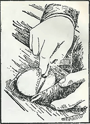 Рисунок 1. Разрезание клубней картофеля