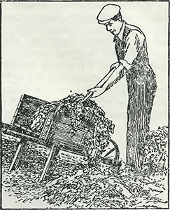 Рисунок 4. Уборка картофеля