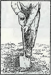 Рисунок 1. Как пользоваться лопатой
