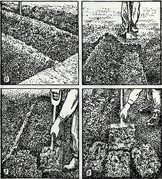 Рисунок 1. Поделка борозд и гребней