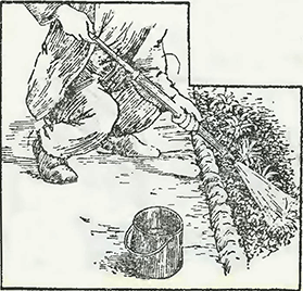 Рисунок 2. Болезни гвоздики