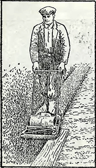 Рисунок 1. Подстрижка травы лугового дёрна