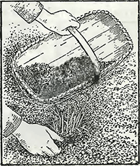 Рисунок 3. Весенний уход за папоротником в открытом грунте