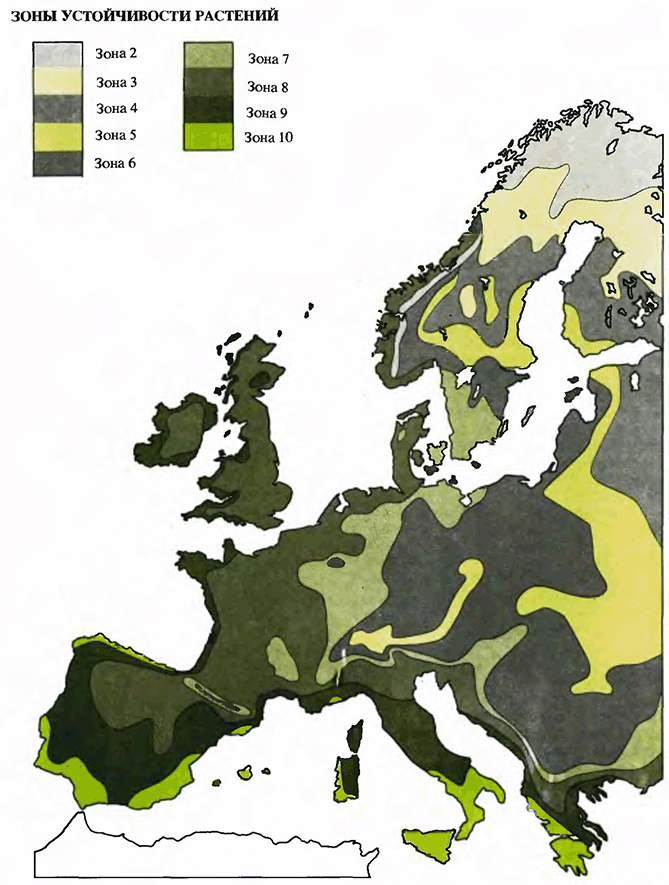 Зоны устойчивости растений