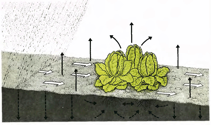 Круговорот воды