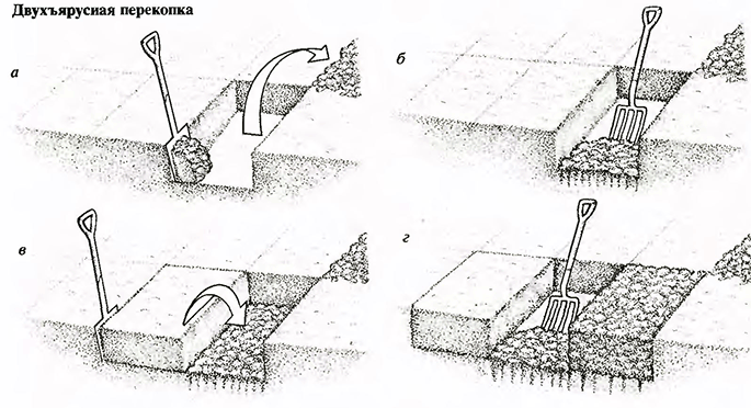 Двухъярусная перекопка