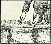 Рисунок 1. Укладка дерна на газоны