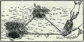 Рисунок 2. Посадка бордюрных растений