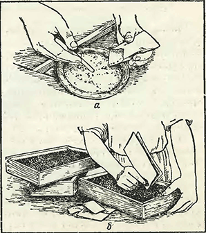 Рисунок 1. Посев мелких семян с примесью белого песка