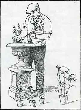 Рисунок 1. Посадка растений в декоративные вазы