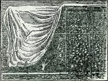 Рисунок 1. Защита от заморозков