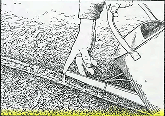 Рисунок 1. Полив посевных бороздок перед посевом семян